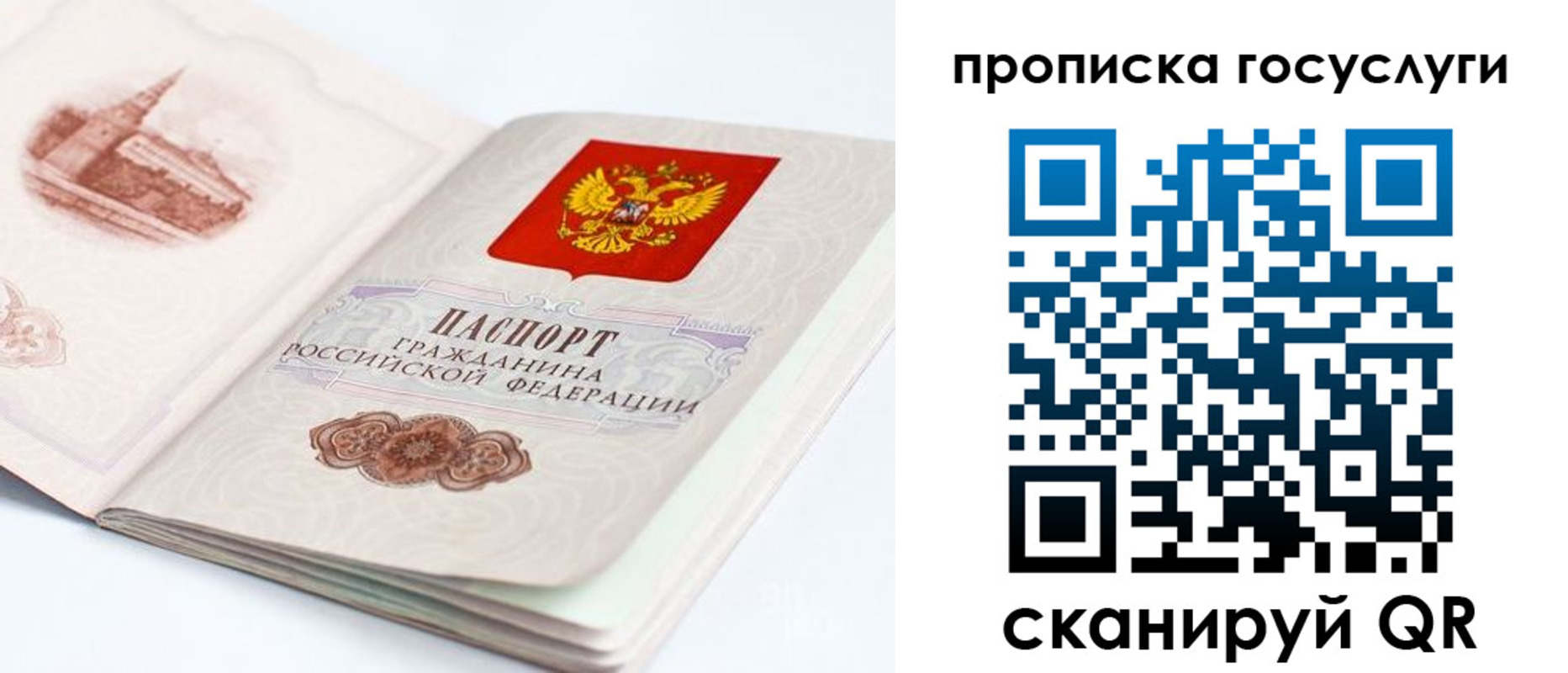 временная регистрация в Светлогорске